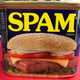 Illustration for article titled SPAMwich